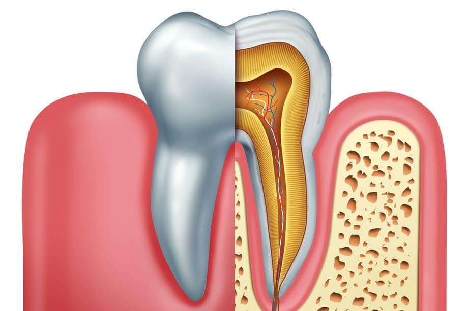 Difference Between Endodontist & Dentist